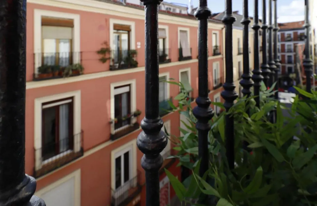 Reina Sofia Boutique II-1